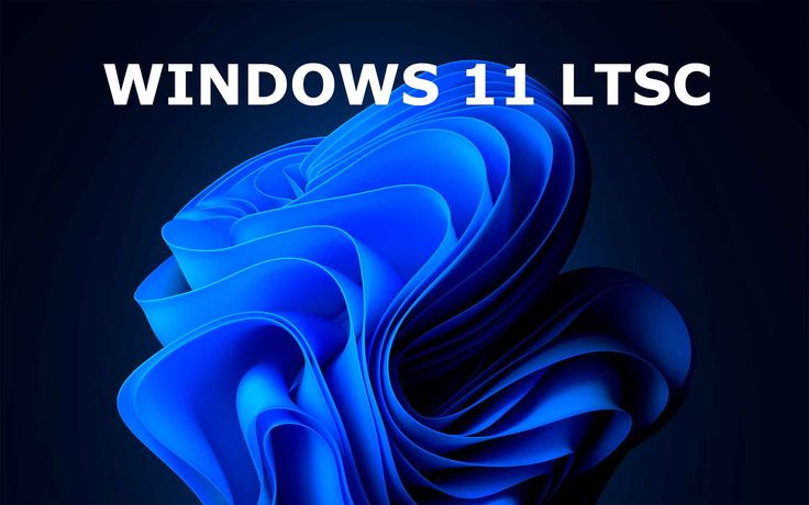 Windows 11